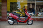 2023 Wolf RX50 - 50cc Moped Scooter