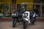 2023 Wolf Rugby - 50cc Moped Scooter