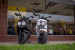 2023 Wolf Rugby - 50cc Moped Scooter