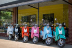 2023 Wolf Islander - 50cc Moped Scooter