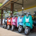 2023 Wolf Islander - 50cc Moped Scooter