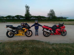 2003 Suzuki GSXR 1000