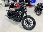 2019 Harley-Davidson XL883N Sportster Iron 883 - Financing Available!