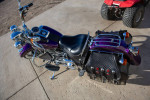 2000 Harley Davidson FLSTS - Super Low Miles - Like New
