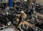 HARLEY DAVIDSON