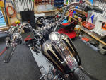 2008 harley cvo screamin eagle springer softail