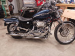 2003 Harley-Davidson XL 1200 custom anniversary Sportster