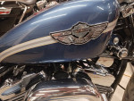 2003 Harley-Davidson XL 1200 custom anniversary Sportster