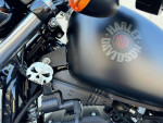 2021 Harley-Davidson XL883N - Iron 883