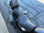 2021 Harley-Davidson XL883N - Iron 883
