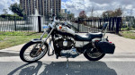 2003 HARLEY DAVIDSON 100TH ANNIVERSARY SPORTSTER XL1200C *NO DLR FEES*