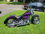 2001 custom springer softail mint