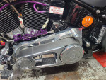 2001 custom springer softail mint