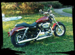Harley 1200 for sale