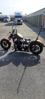softail springer bobber
