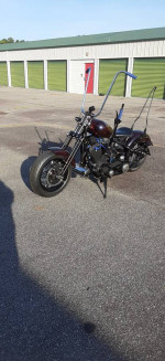 softail springer bobber