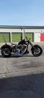 softail springer bobber