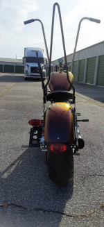 softail springer bobber