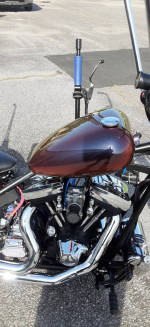 softail springer bobber