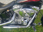 2005 harley davidson softail