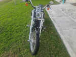 2005 harley davidson softail