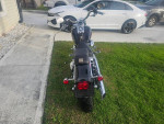 2005 harley davidson softail