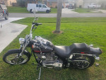 2005 harley davidson softail