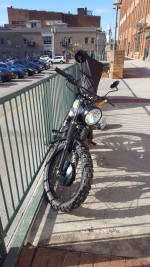 1968 HONDA CL350 Scrambler Café