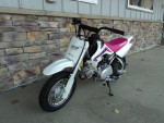 2024 HONDA CRF 50 YOUTH DIRT BIKE, EL. START, SPORT CLUTCH, IN STOCK!!