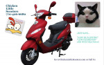 NEW 49cc MOPEDS - EASY PAYMENTS $50 down