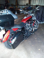 Harley for sale