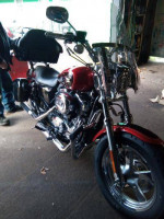 Harley for sale