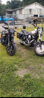 2 Harley Davidson,s for sale $ 8500 each