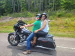 Harley for sale