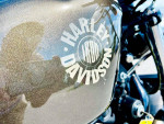 2020 Harley-Davidson XL883N Sportster Iron 883 - Financing Available!