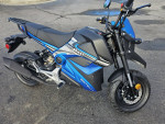 2022 BINTELLI 50 Scooter NEW