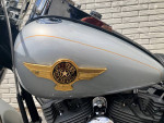 2005 HARLEY DAVIDSON FLSTF ANNIVERSARY FATBOY