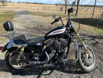 2006 Harley Davidson Sportster