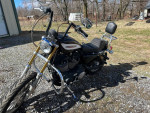 2006 Harley Davidson Sportster