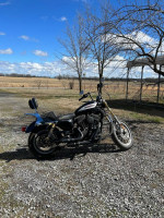 2006 Harley Davidson Sportster