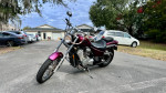 2004 HONDA SHADOW VLX600 *LOW MILES, NO DLR FEES*