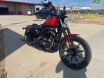 2019 HARLEY DAVIDSON SPORTSTER