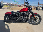 2019 HARLEY DAVIDSON SPORTSTER