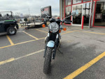 2023 TRIUMPH BONNEVILLE T100