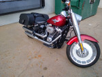 2019 Fat boy