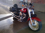 2019 Fat boy