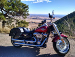 2019 Fat boy