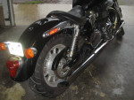 2010 america triumph
