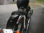 2010 america triumph