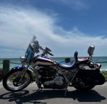 1993 HARLEY DAVIDSON FXLR - CUSTOM - RARE &ULTIMATE MAGA HOG